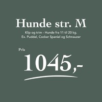 Hunde 11 - 20 kg